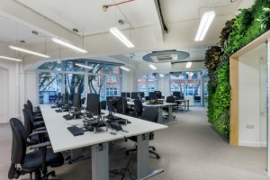 Image of the desks and living wall in the UKGBC office, where office furniture was provided by Rype Office