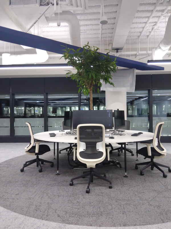 Round desks with plant in middle